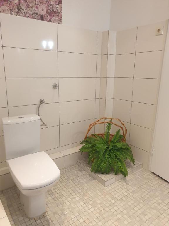Ferienwohnungen Lemberg Hagen  Bagian luar foto